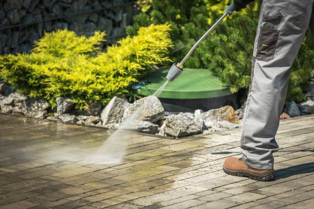 Best Sidewalk and Walkway Cleaning  in Kenneth City, FL